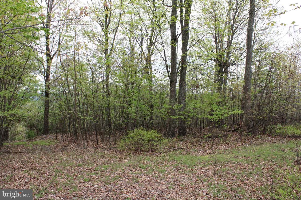 Lot 93 Bluffs Bluebird Trail - Photo 1