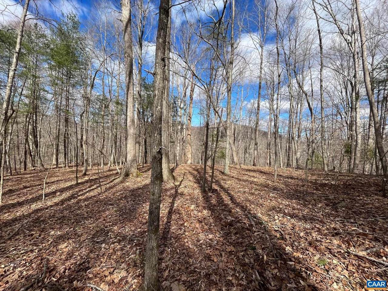 2330 B Old Roberts Mountain Rd - Photo 1