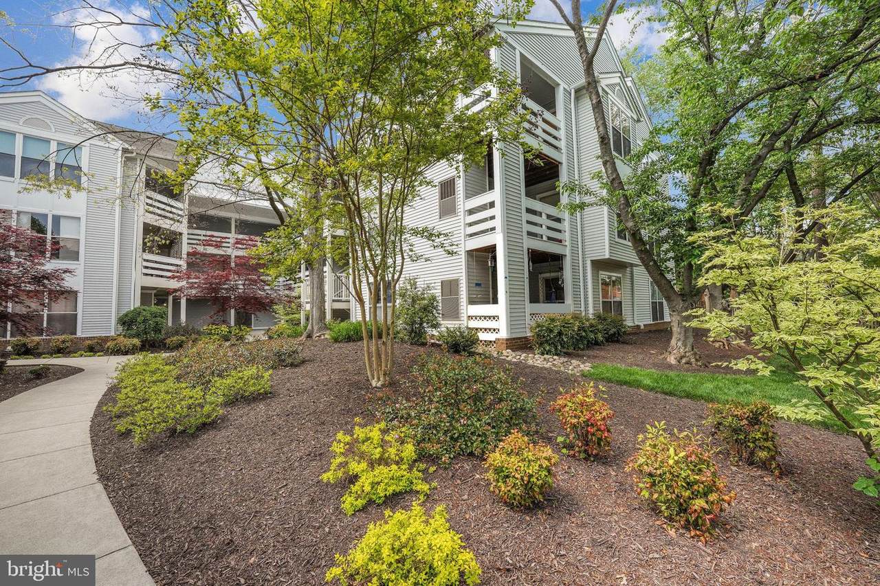 10302 Appalachian Circle - Photo 1