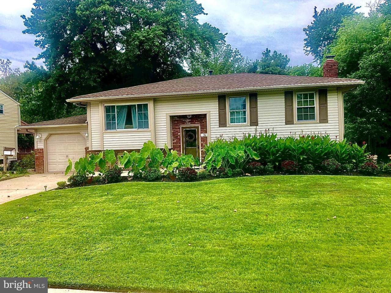36 Hyannis Avenue - Photo 1