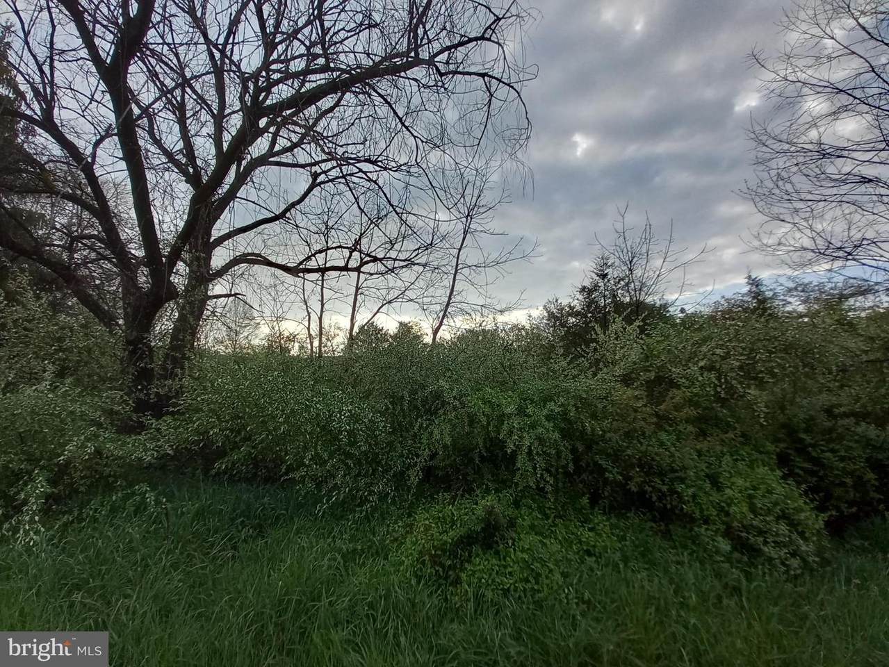 LOT 48 Starbright Dr - Photo 1