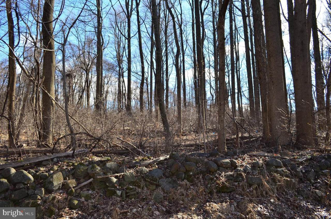 Lot 5 Meadow Trail - Photo 1