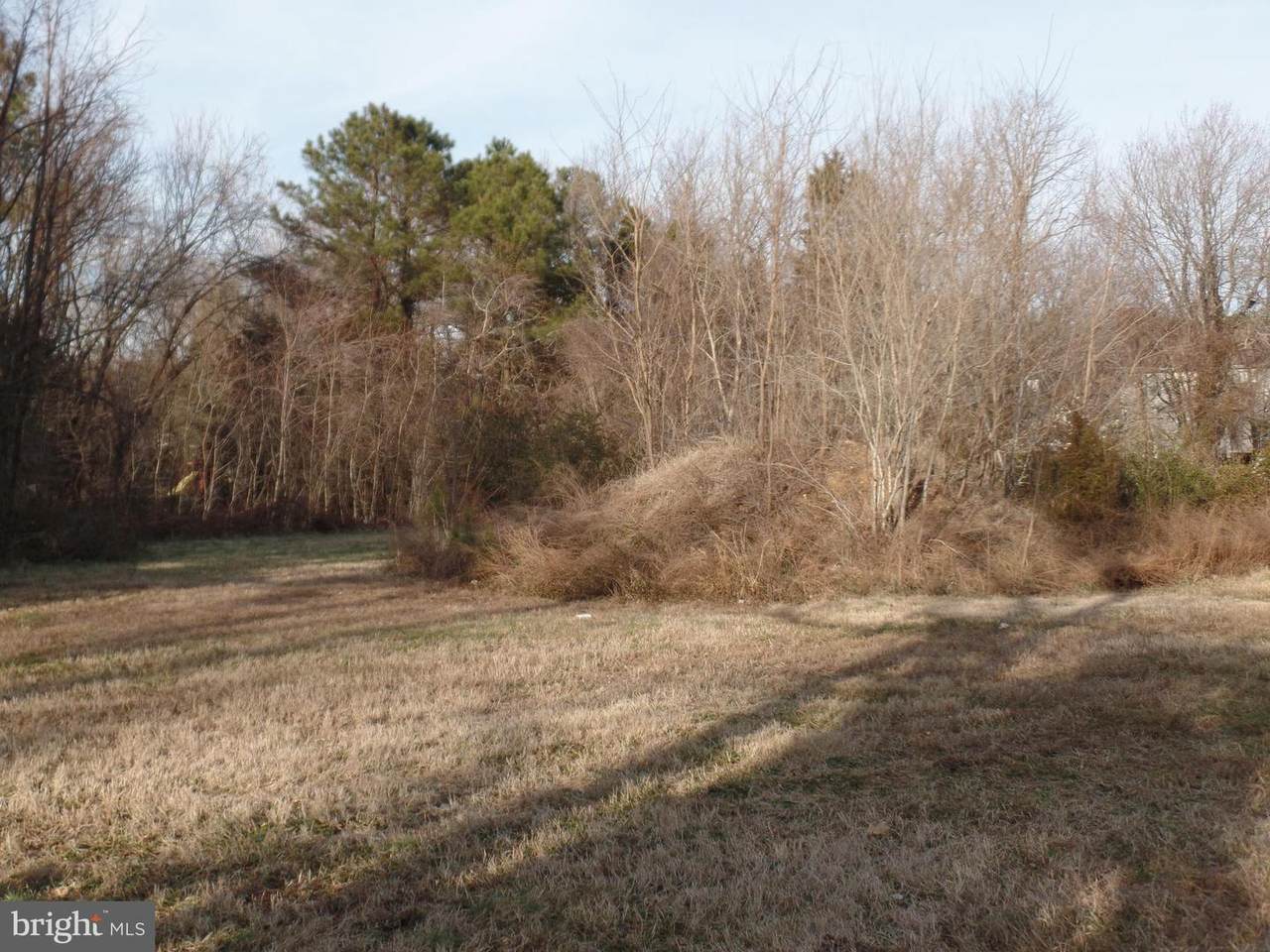 45730 Locust Glen - Photo 1