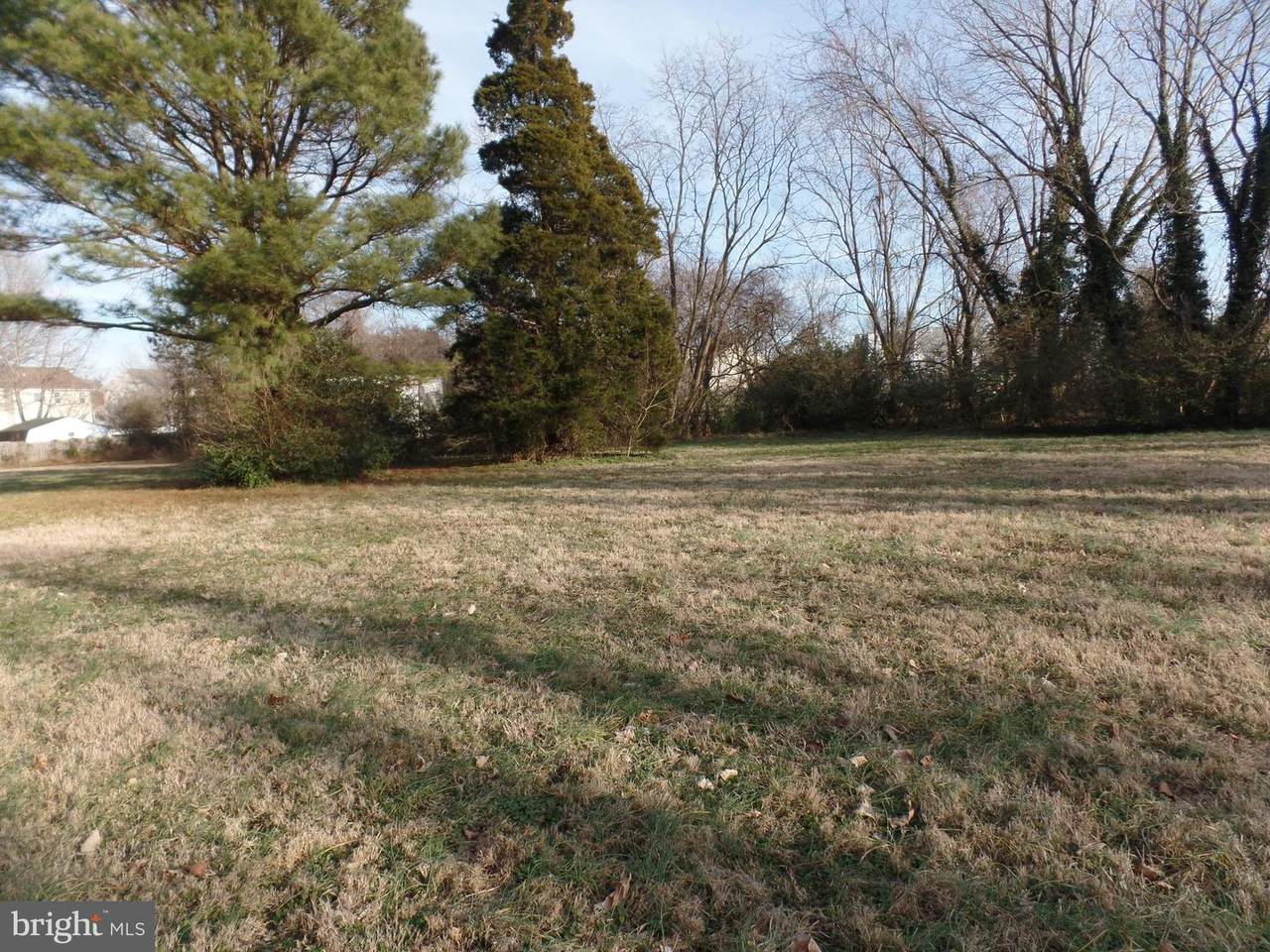 45731 Locust Glen Lane - Photo 1