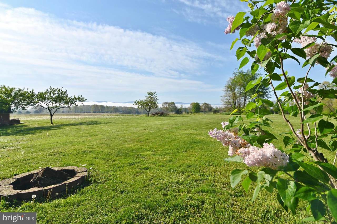 2670 Back Road - Photo 1