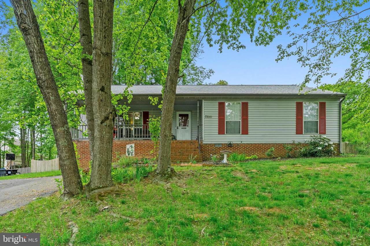 7300 Beechplum Road - Photo 1