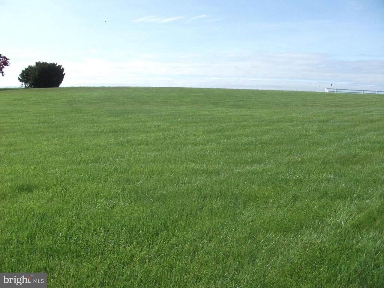 Lot 5 Edenville Road - Photo 1