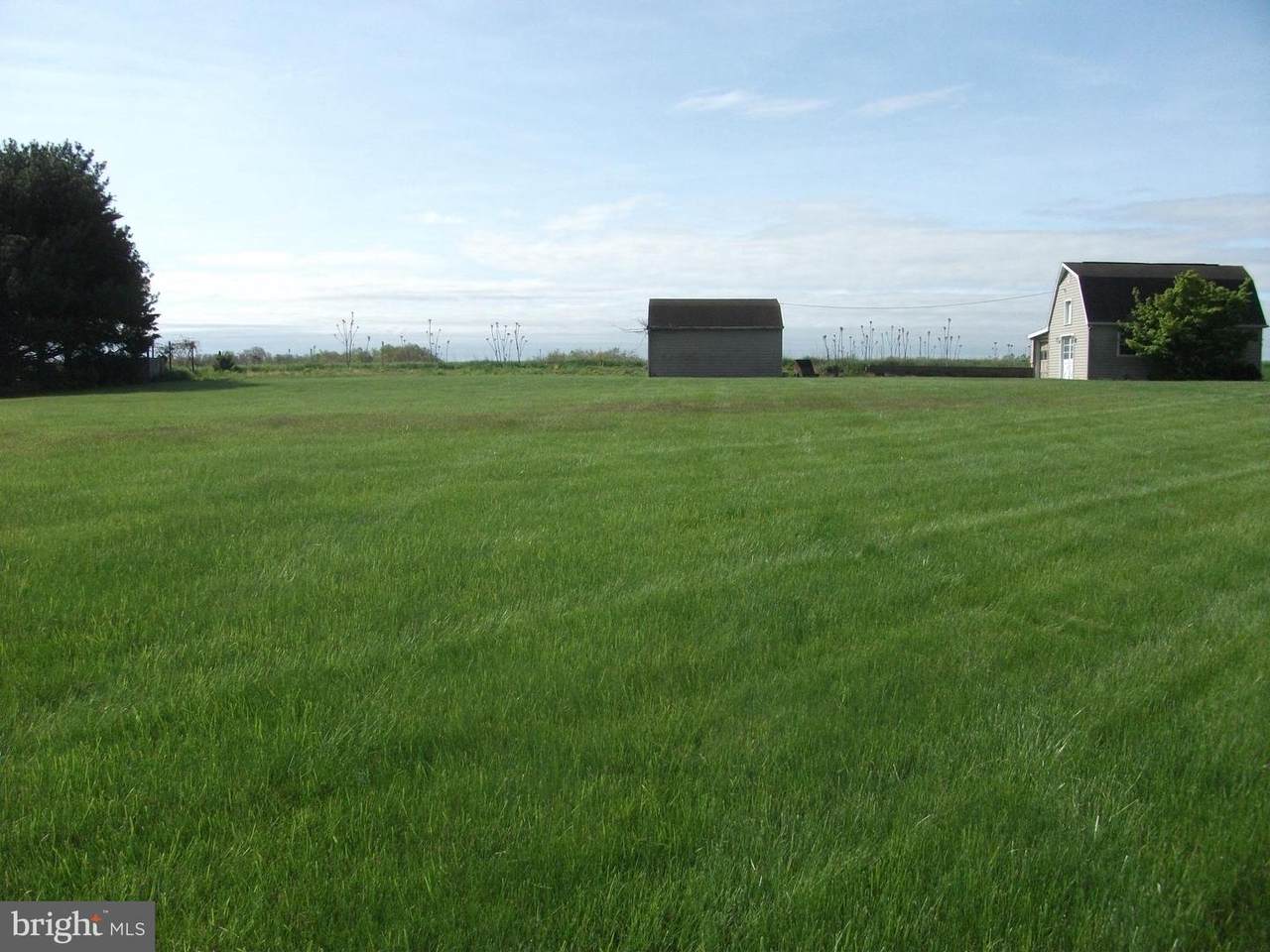 Lot 7 Edenville Road - Photo 1