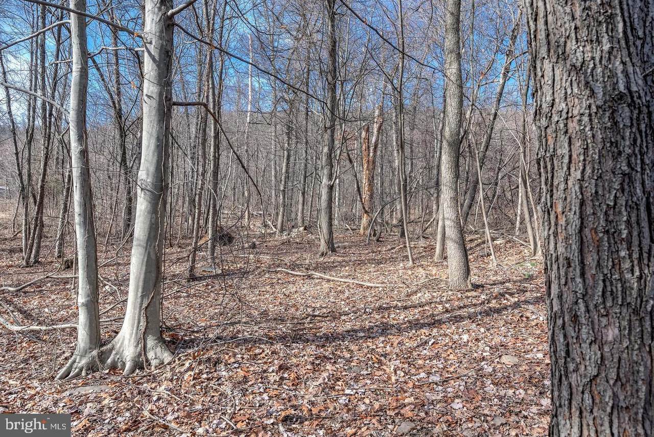 Lot 6 Zeigler Lane - Photo 1