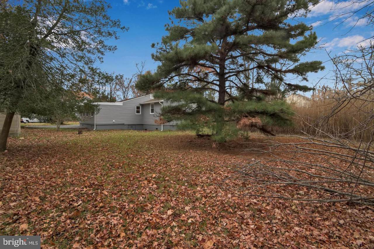 3835 Holly Drive - Photo 1