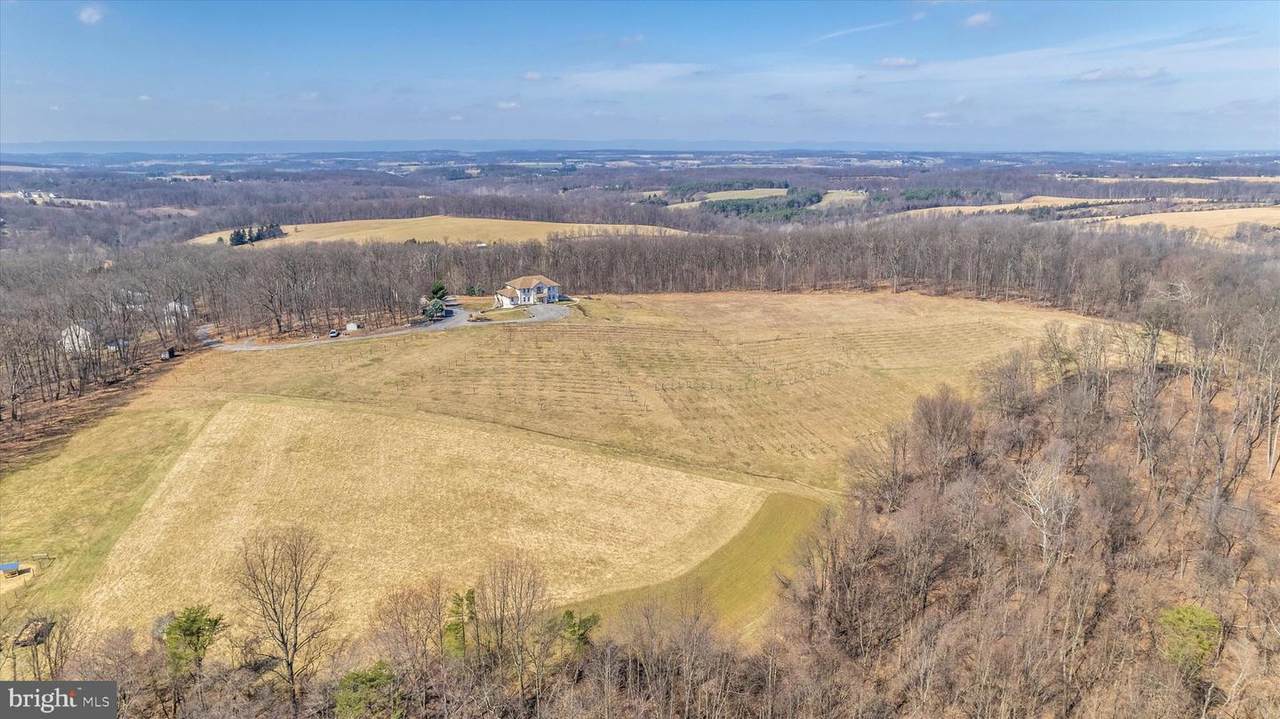 7670 Talbot Run Road - Photo 1