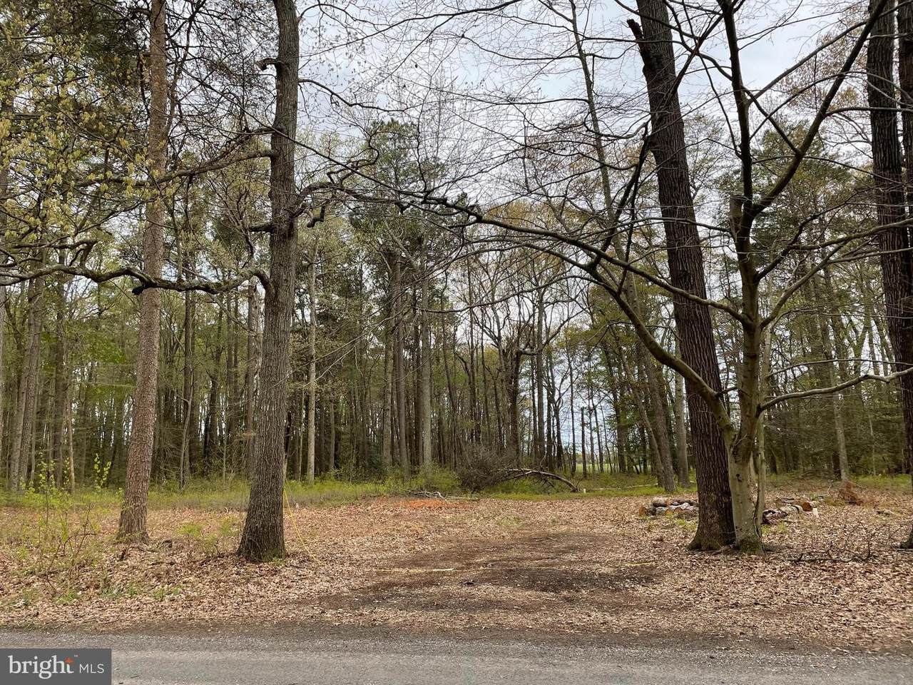 Tammuxzena Drive - Photo 1