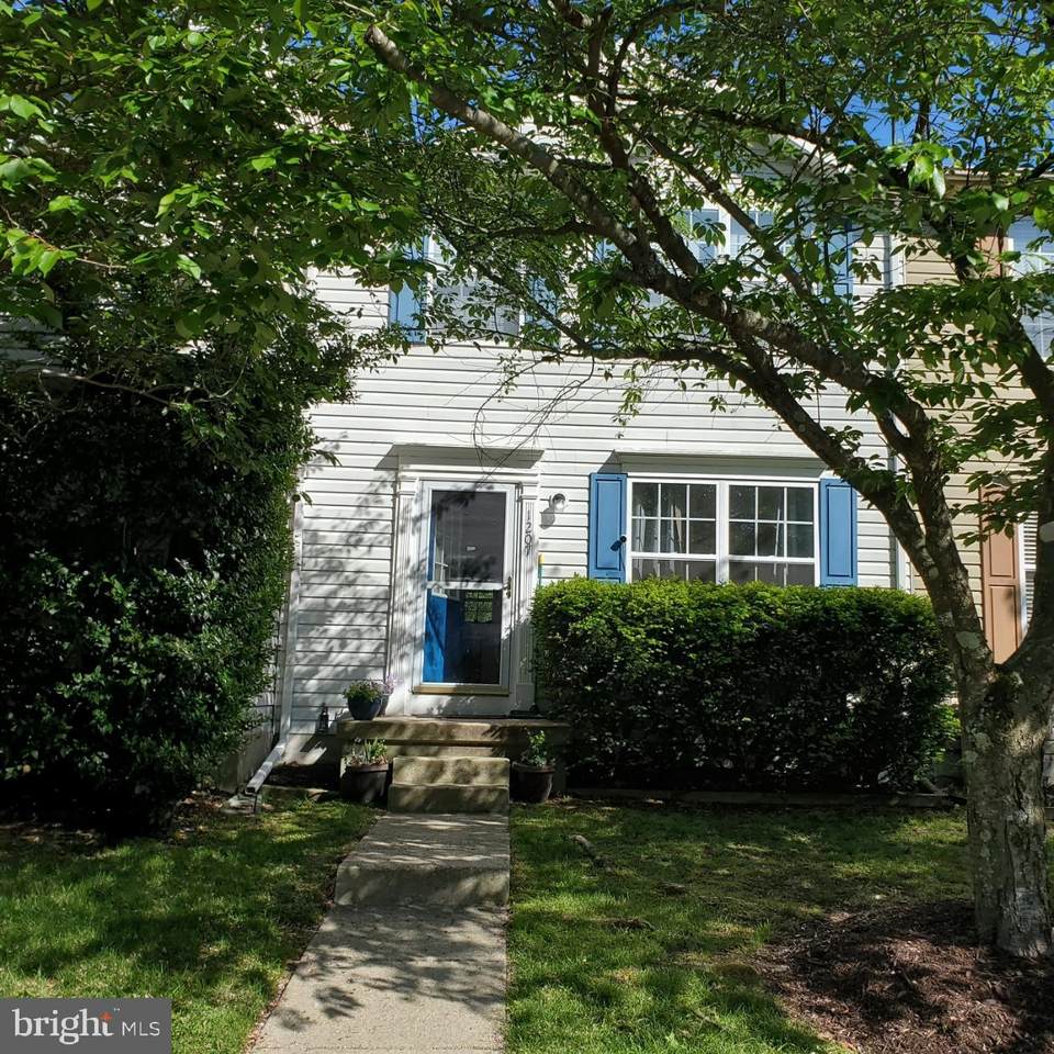 1207 Castine Court - Photo 1