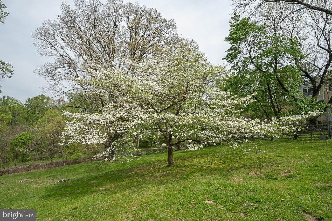 1200 Limberlost Lane - Photo 1