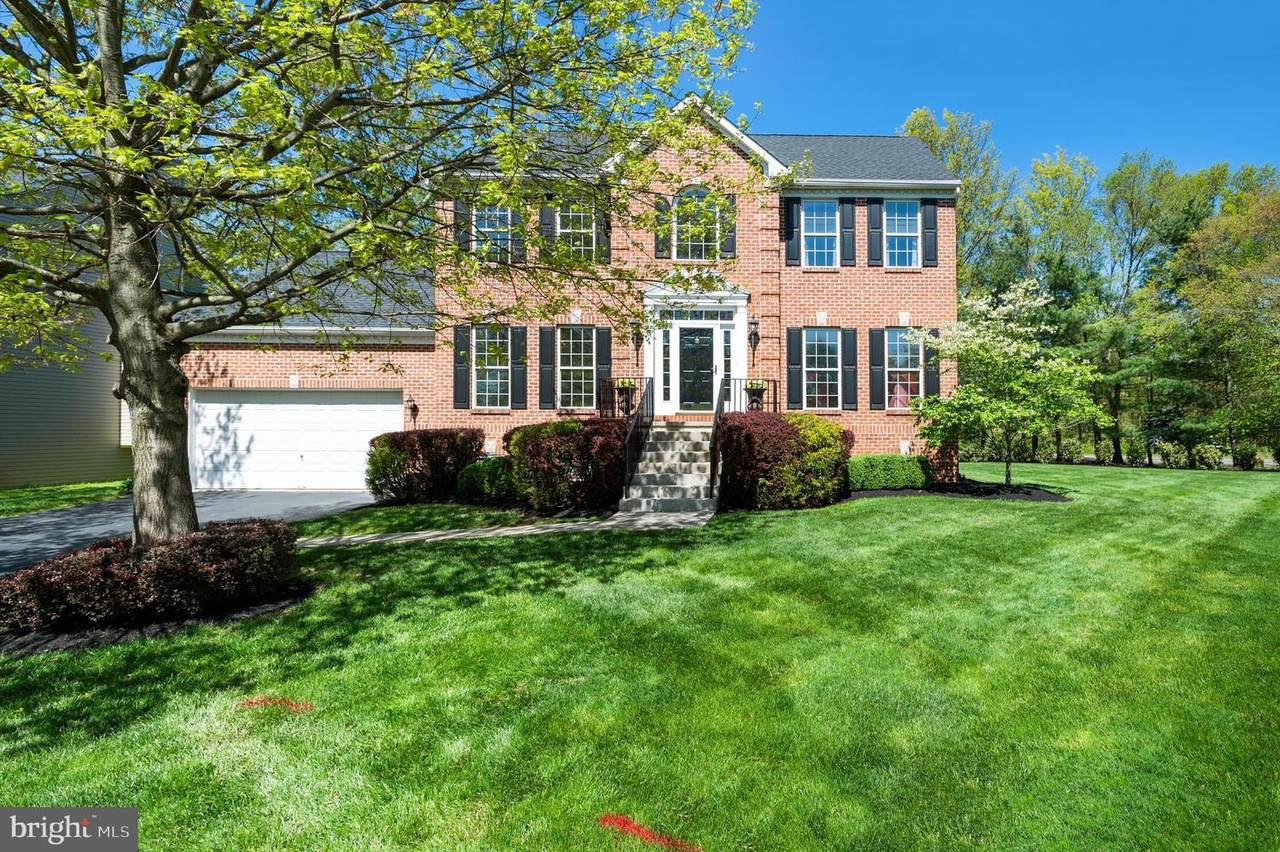 59 Avalon Road - Photo 1
