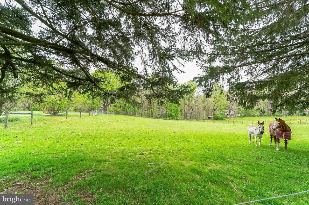105 Poplar Hill Lane - Photo 1