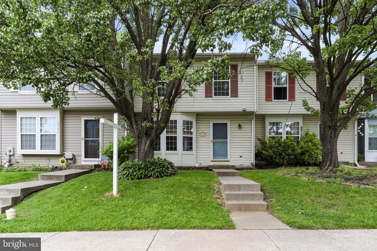 6708 Black Duck Court - Photo 1