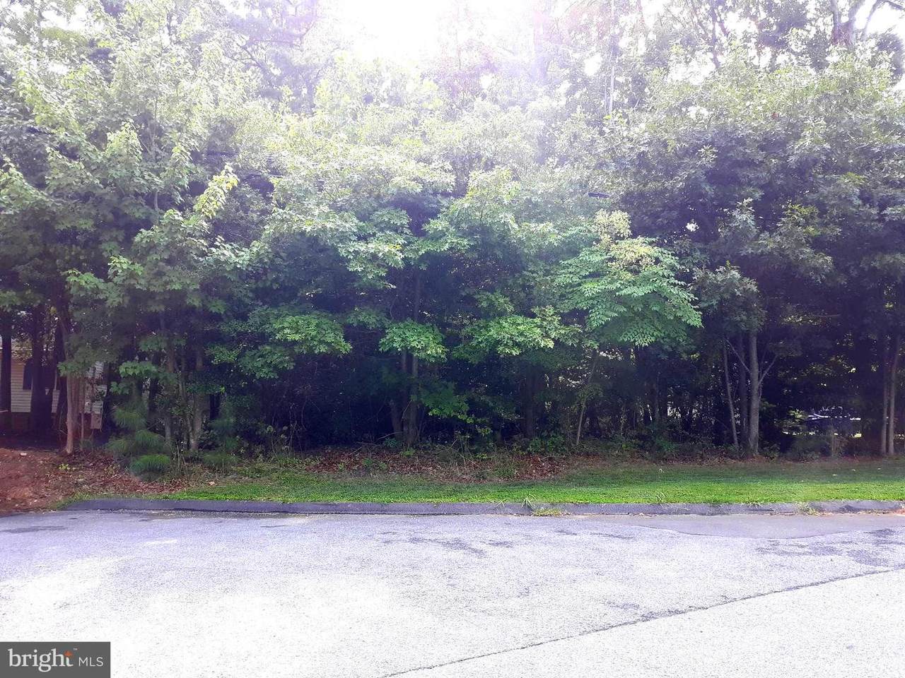 12230 Catalina Drive - Photo 1