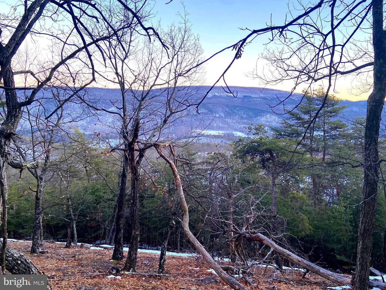41.25 ACRES MT LAKE RETREAT DR - Photo 1