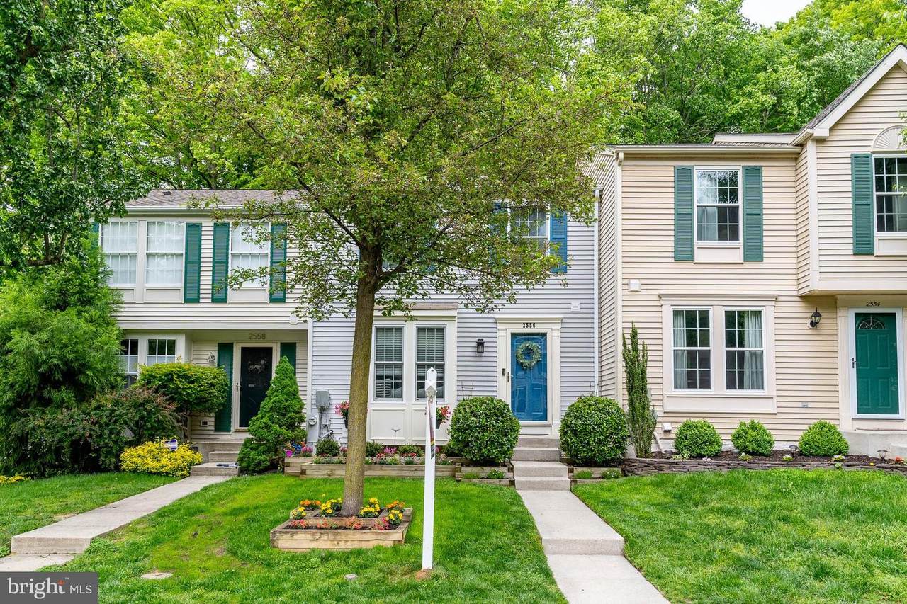 2556 Log Mill Court - Photo 1