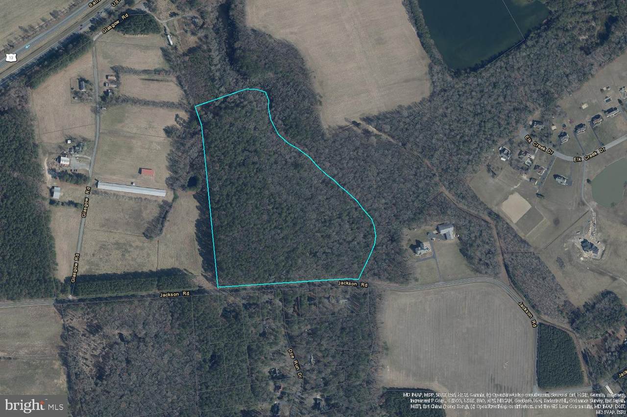 24 Acres Jackson Road - Photo 1