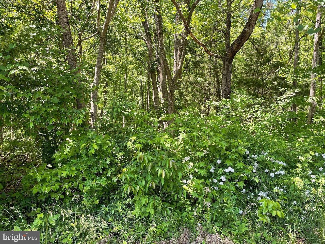 202 Morgan Lane - Photo 1