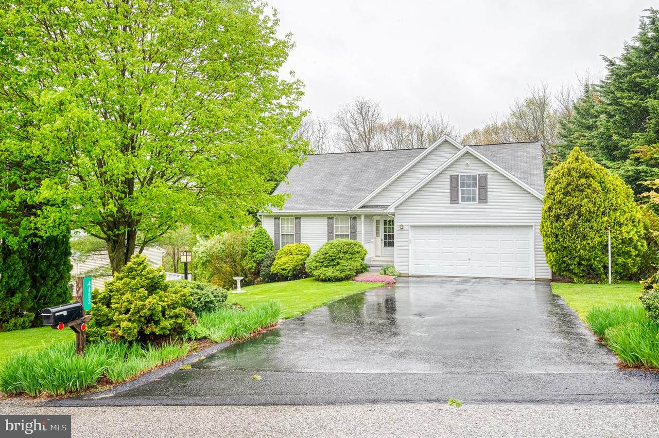 4453 Forest Road - Photo 1