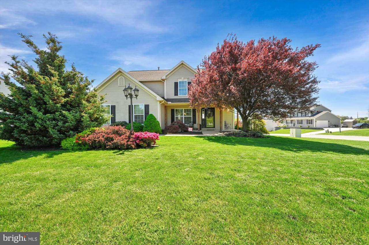 29 Hannibal Lane - Photo 1