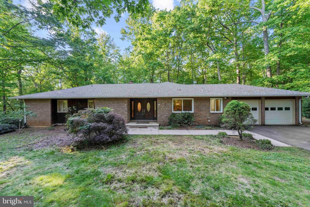 11830 Larry Road - Photo 1