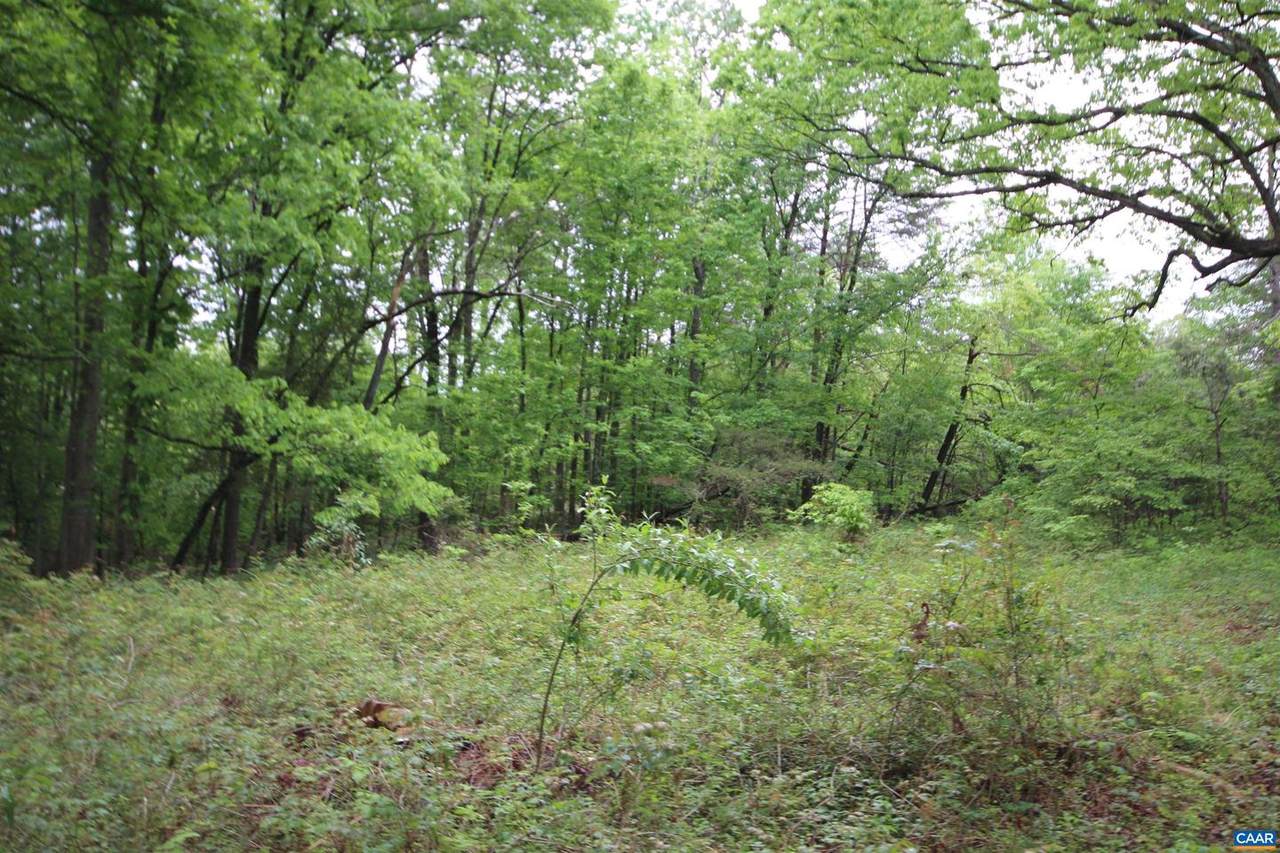 28 Andersonville Ln - Photo 1