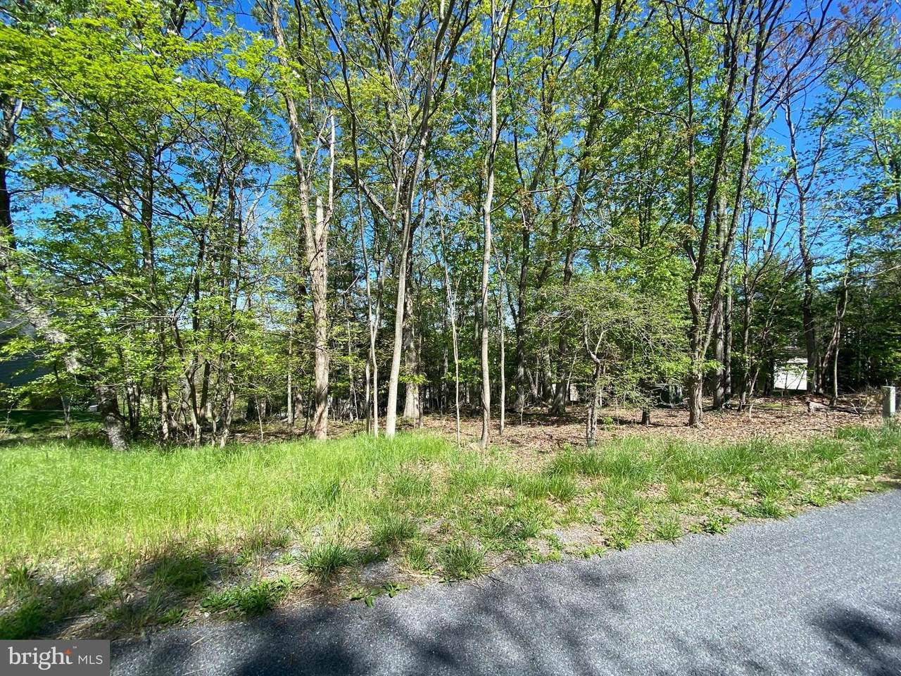 120 Downhill Circle - Photo 1