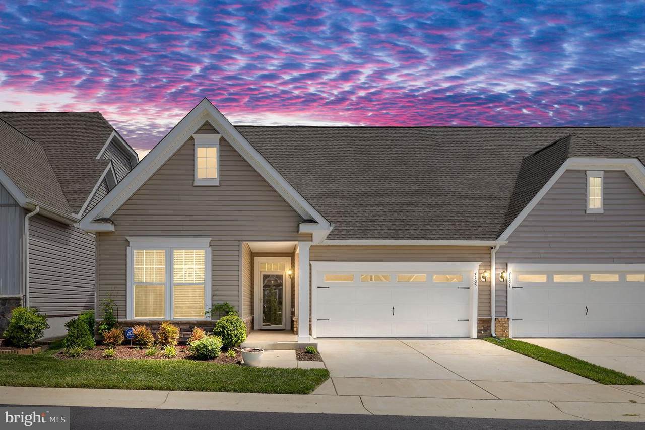 7103 Holly Berry Lane - Photo 1
