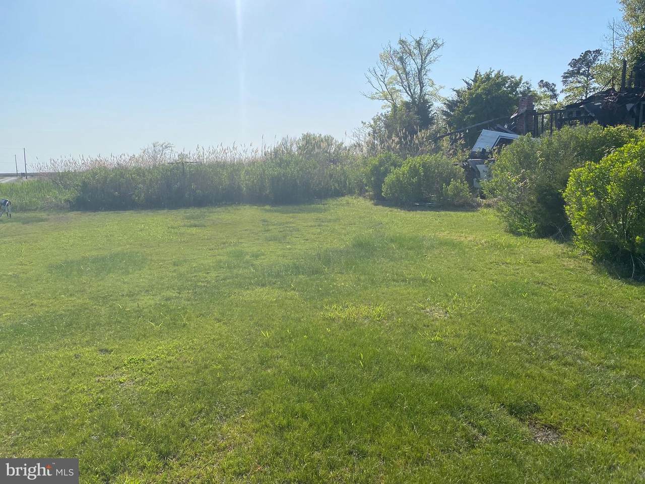 3982 Smith Island Road - Photo 1