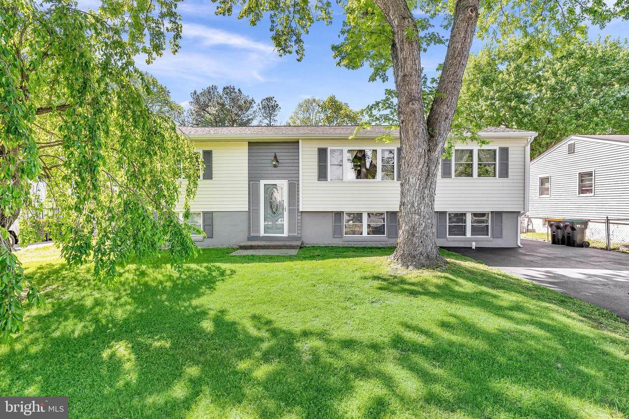 230 Greens Branch Lane - Photo 1