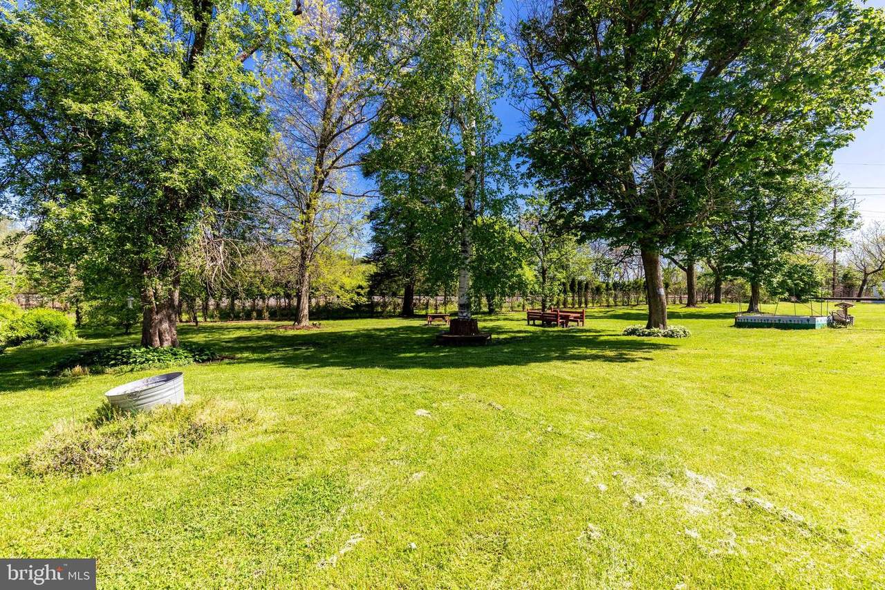 1263 Diamond Street - Photo 1