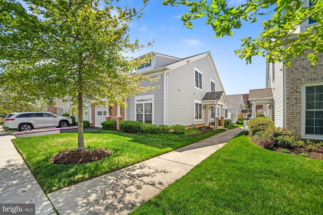 8974 Yellow Daisy Place - Photo 1