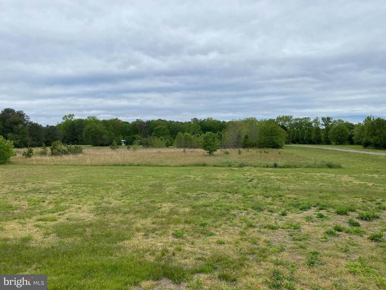 13355 Union Church Road - Photo 1