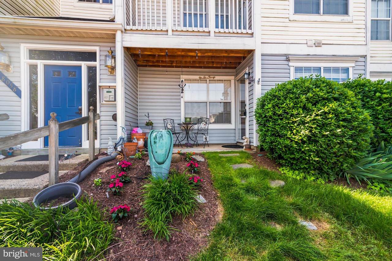 8058 Lisle Drive - Photo 1