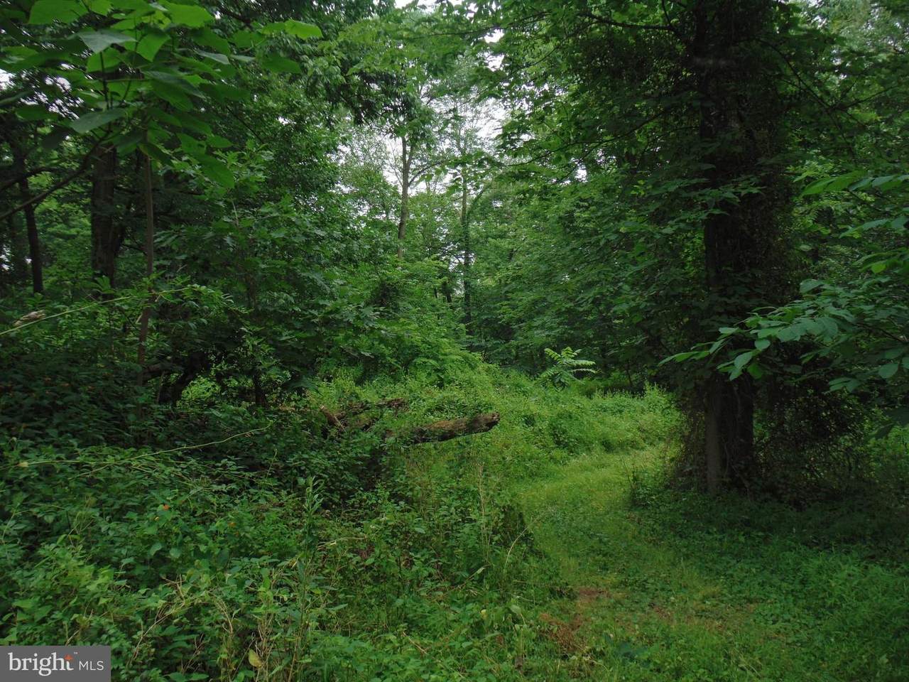 0 Cly Road - Photo 1