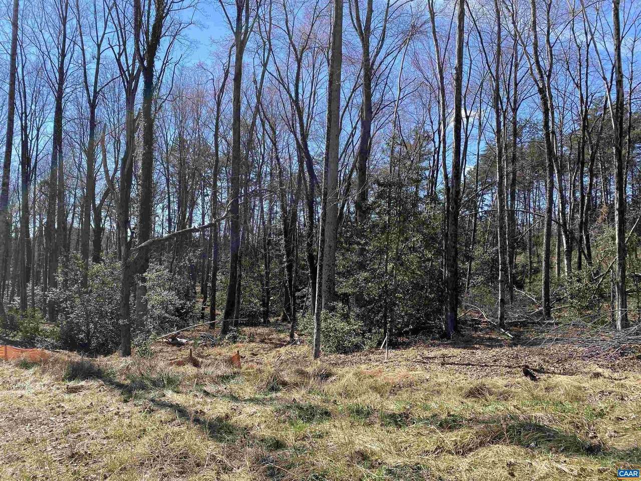1 Olivia Ct - Photo 1