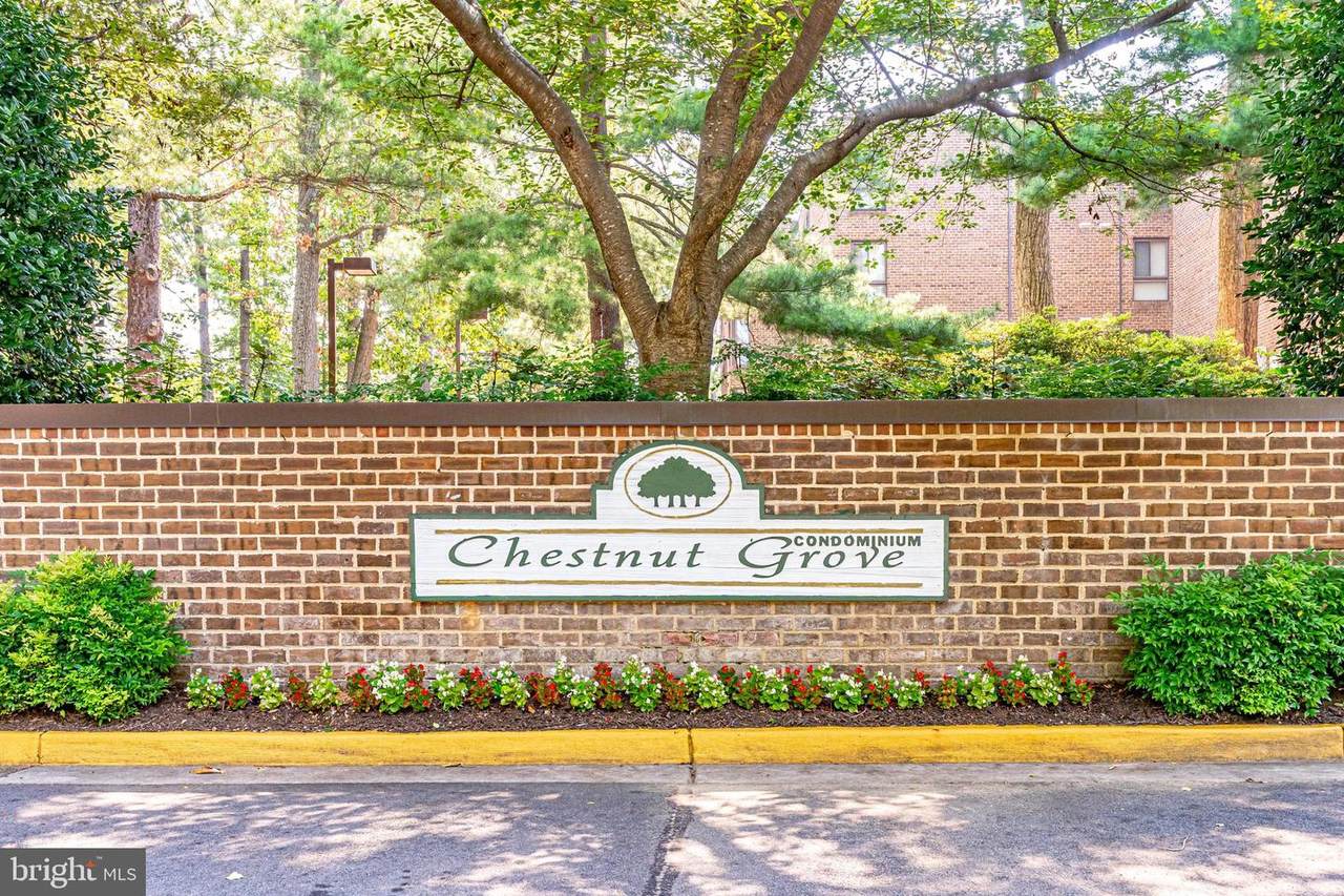 11212 Chestnut Grove Square - Photo 1