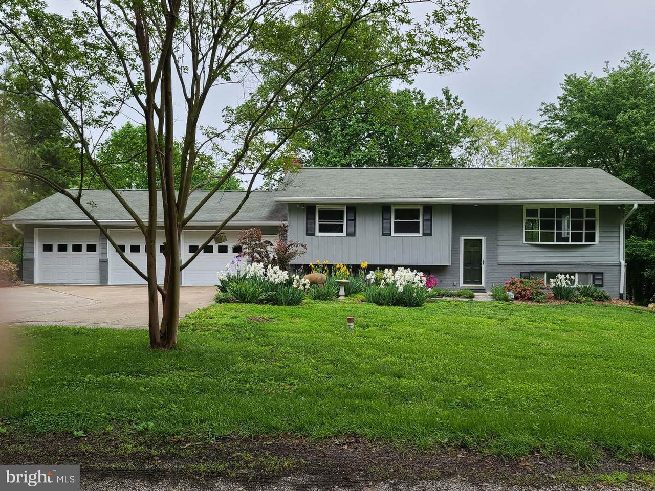 1703 Delage Lane - Photo 1