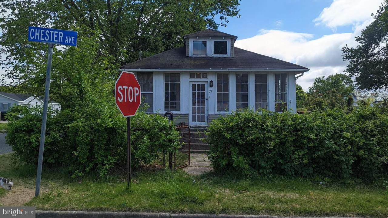29 Chester Avenue - Photo 1