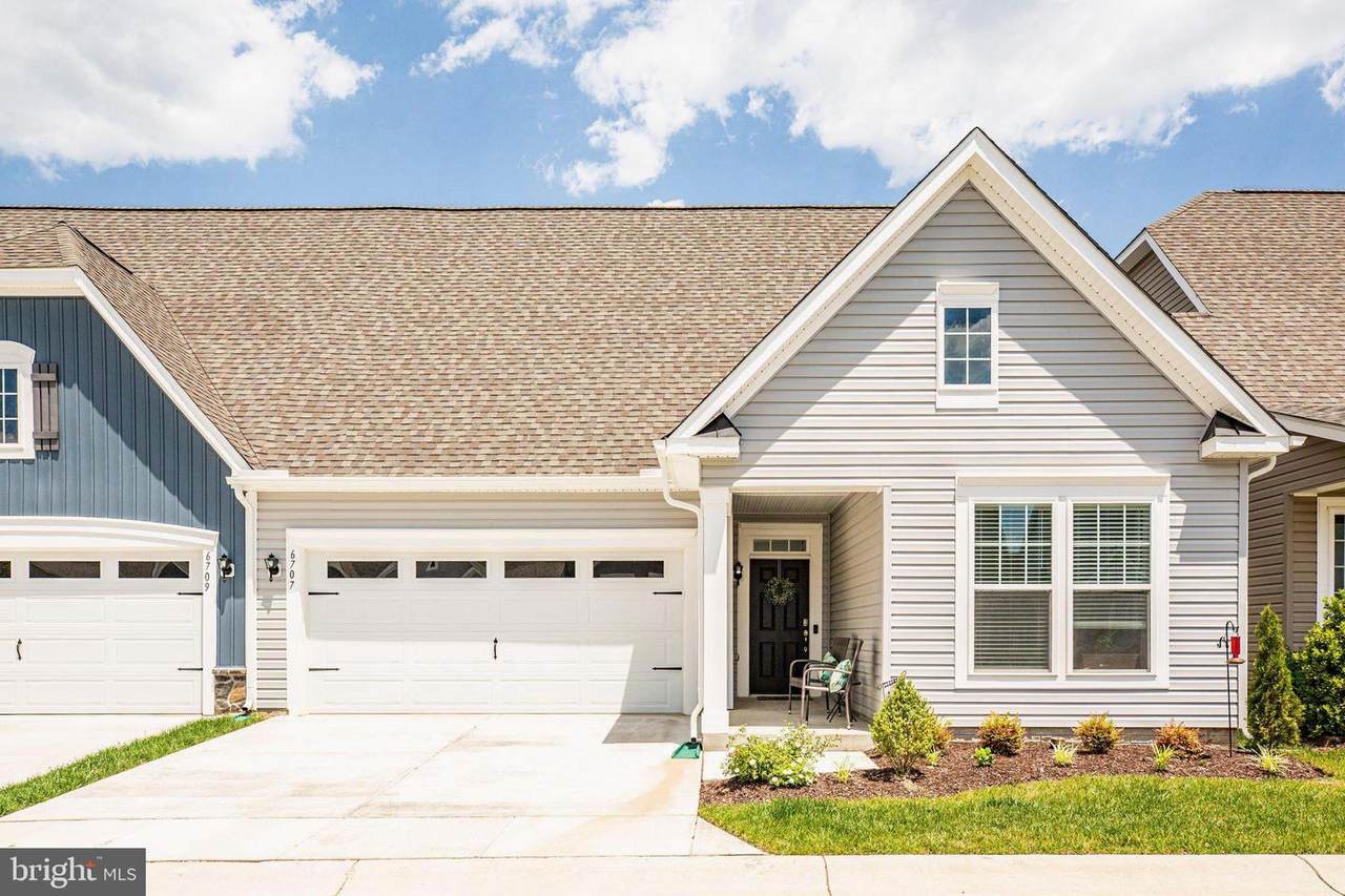 6707 Big Laurel Lane - Photo 1