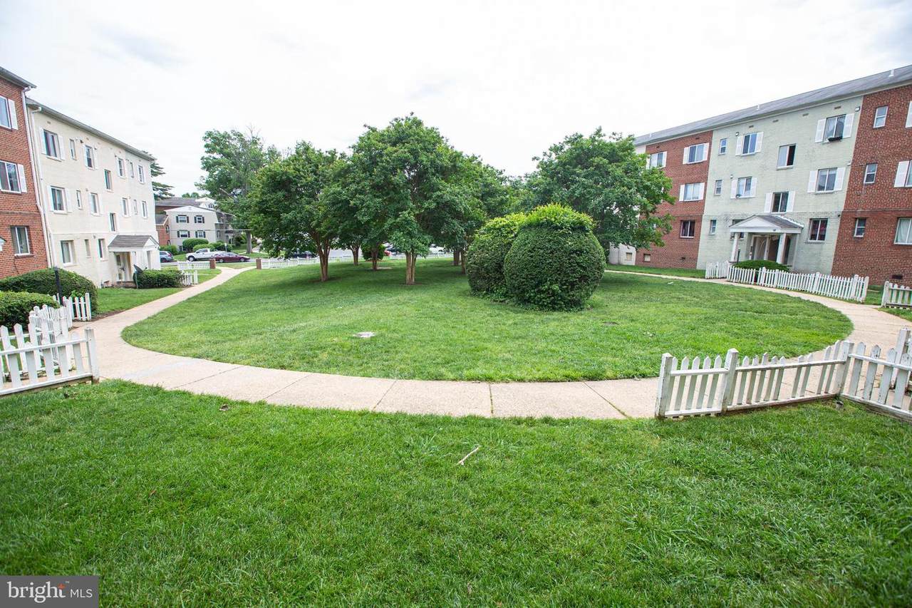 3066 Patrick Henry Drive - Photo 1