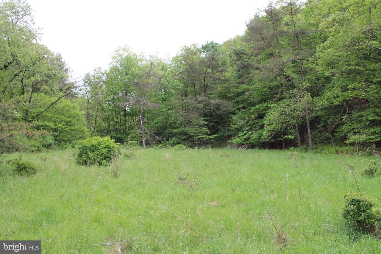 115 AC Paul Bean Road - Photo 1