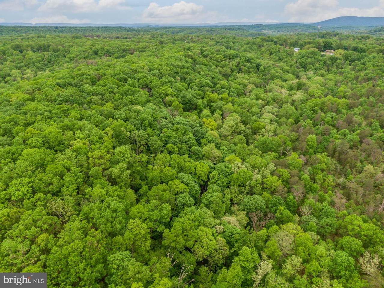 0 Cherry Run Road - Photo 1