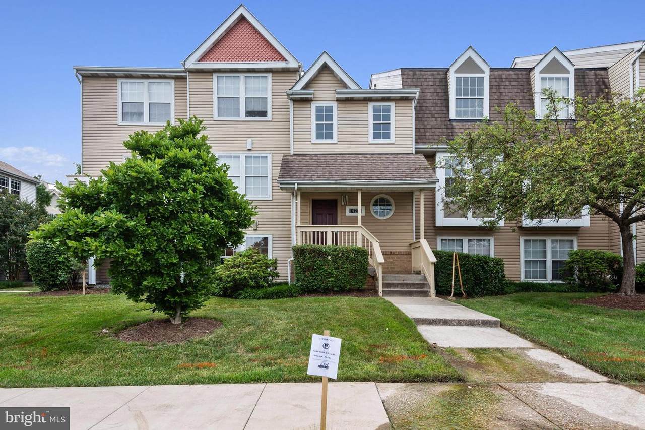14231 Jib Street - Photo 1