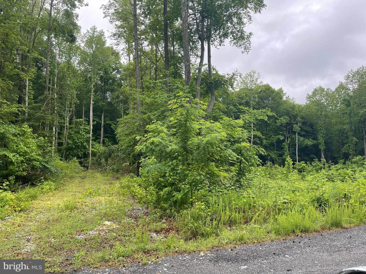 Lot 28 Compass - Photo 1