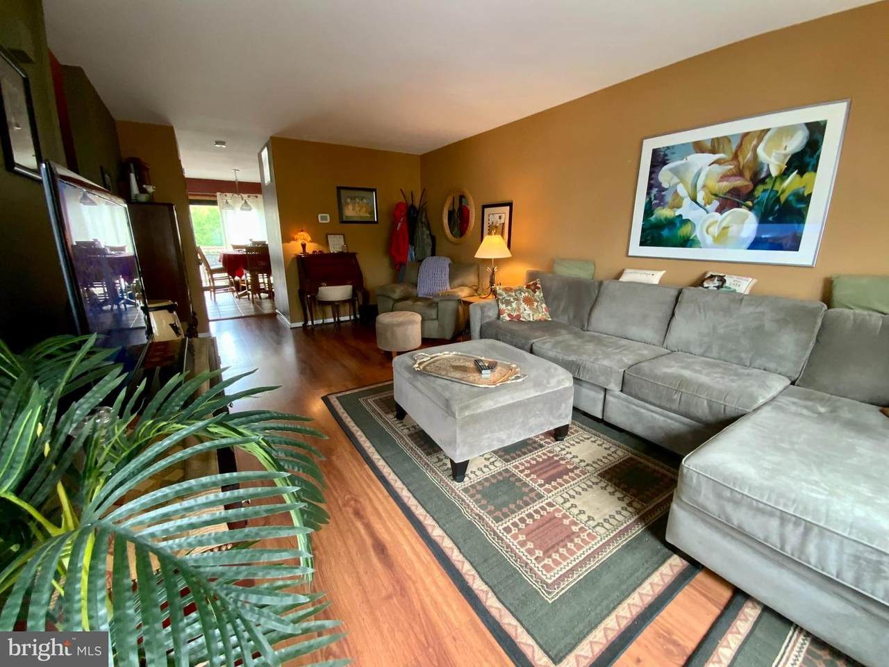 20 Cedar Street - Photo 1
